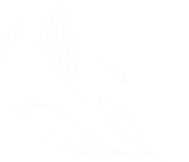 Footer Background