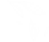Footer Background